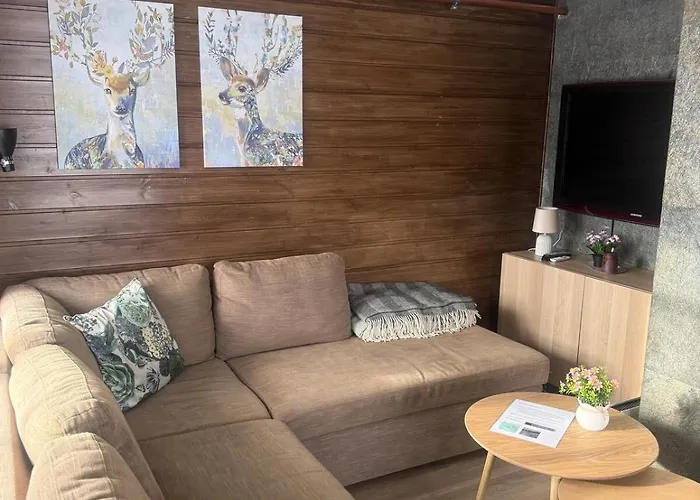 Koselig I Vangslia - In Out Apartament *